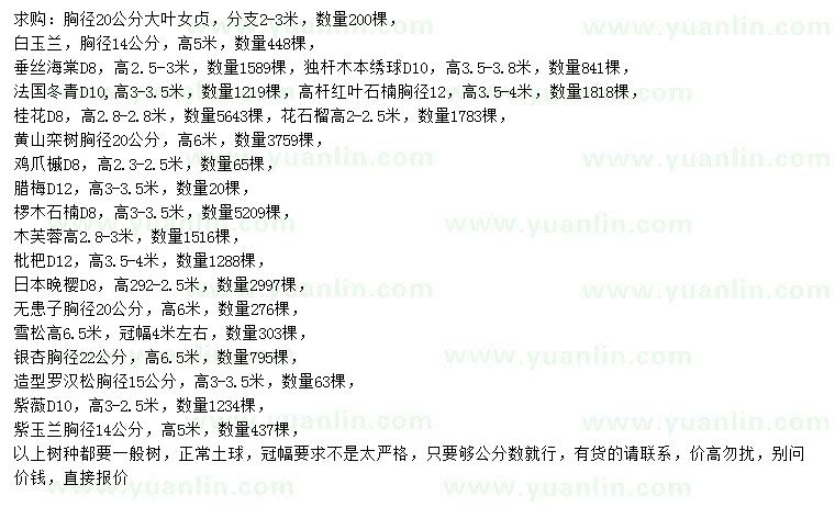 求購(gòu)大葉女貞、白玉蘭、垂絲海棠等