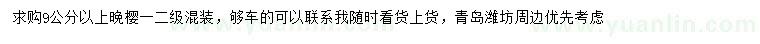 求購9公分以上晚櫻