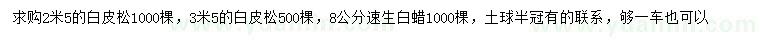 求購2.5、3.5米白皮松、8公分速生白蠟