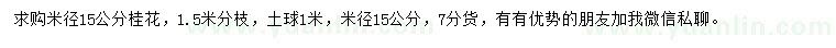 求購米徑15公分桂花