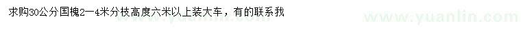 求購30公分國槐