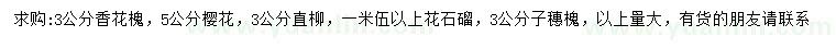 求購香花槐、櫻花、直柳等