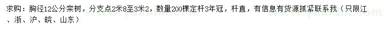 求購胸徑12公分欒樹