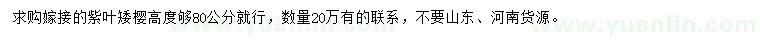 求購(gòu)高80公分紫葉矮櫻