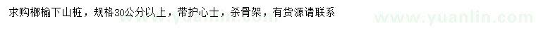 求購(gòu)30公分以上榔榆下山樁