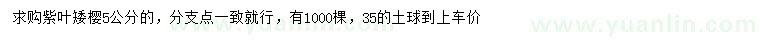 求購5公分紫葉矮櫻