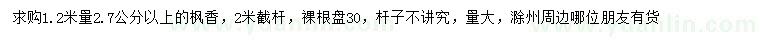 求購1.2米量2.7公分以上楓香