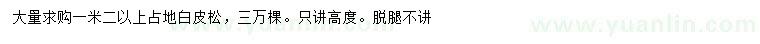 求購(gòu)1.2米以上占地白皮松