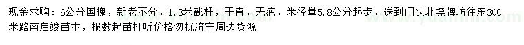 求購(gòu)6公分國(guó)槐