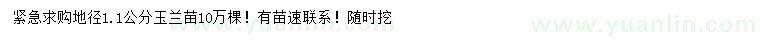 求購地徑1.1公分玉蘭苗