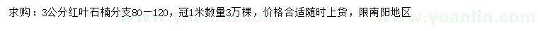 求購3公分紅葉石楠