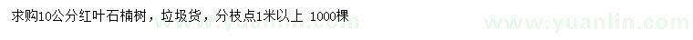 求購10公分紅葉石楠