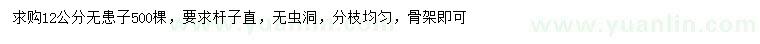 求購12公分無患子