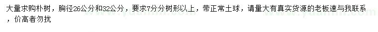 求購(gòu)胸徑26、32公分樸樹