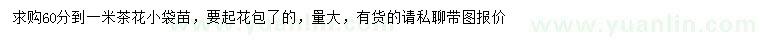 求購(gòu)60-100公分茶花