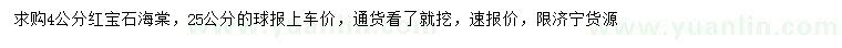 求購4公分紅寶石海棠