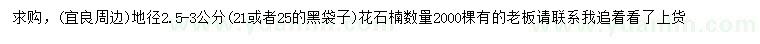 求購地徑2.5-3公分花石楠