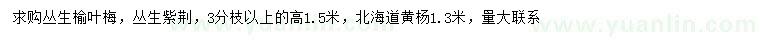 求購(gòu)叢生榆葉梅、叢生紫荊、北海道黃楊