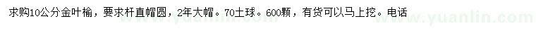 求購10公分金葉榆