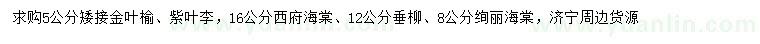 求購矮接金葉榆、紫葉李、西府海棠等
