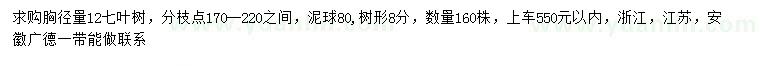 求購胸徑量12公分七葉樹