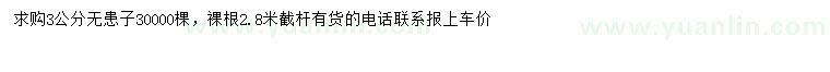 求購(gòu)3公分無(wú)患子