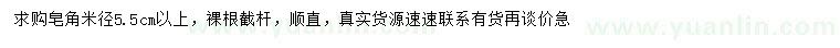 求購(gòu)米徑5.5公分以上皂角