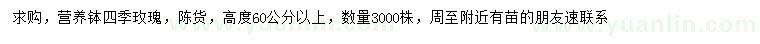 求購高60公分以上四季玫瑰