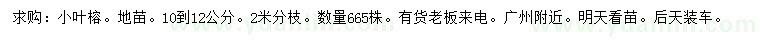 求購10-12公分小葉榕