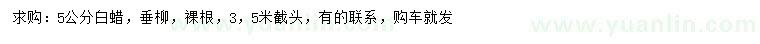 求購5公分白蠟、垂柳