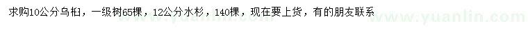 求購10公分烏桕、12公分水杉