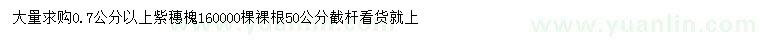 求購(gòu)0.7公分以上紫穗槐