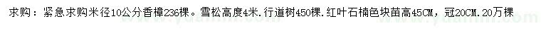 求購香樟、雪松、紅葉石楠