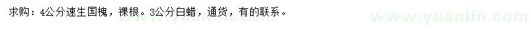 求購(gòu)4公分速生國(guó)槐、3公分白蠟