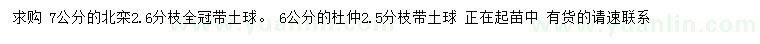 求購7公分北欒、6公分杜仲