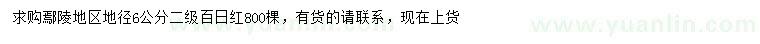 求購地徑6公分百日紅