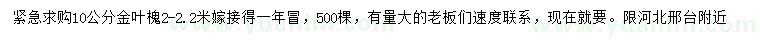求購10公分高接金葉槐
