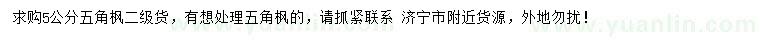 求購5公分五角楓