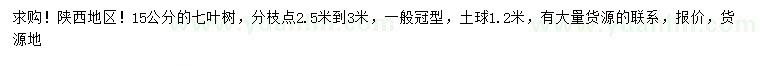 求購15公分七葉樹