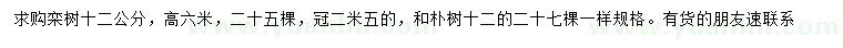 求購(gòu)12公分欒樹(shù)、樸樹(shù)
