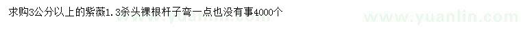 求購3公分以上紫薇