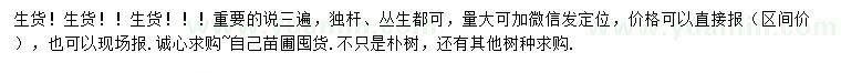 求購(gòu)米徑15-30公分左右生貨樸樹
