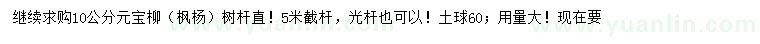 求購10公分元寶柳（楓楊）