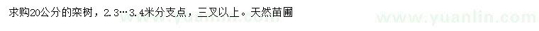 求購胸徑20公分欒樹