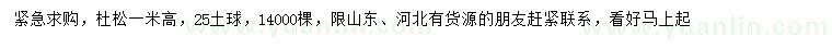 求購高1米杜松