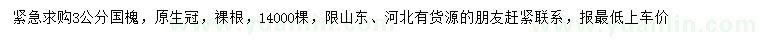求購3公分國槐
