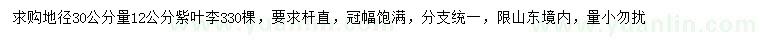 求購(gòu)地徑30公分量12公分紫葉李