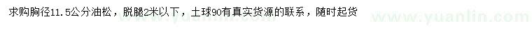 求購(gòu)胸徑11.5公分油松