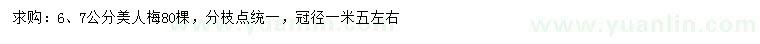 求購(gòu)6、7公分美人梅