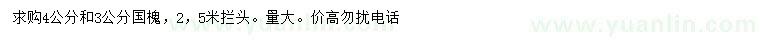 求購3、4公分國槐